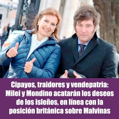 Cipayos, traidores y vendepatria: Milei y Mondino acatarn los deseos de los isleos, en lnea con la posicin britnica sobre Malvinas