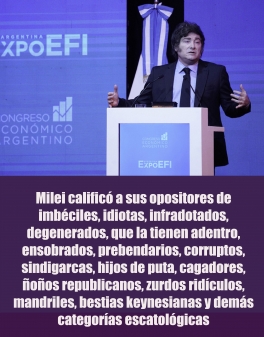 Milei calificó a sus opositores de imbéciles, idiotas, infradotados, degenerados, que la tienen adentro, ensobrados, prebendarios, corruptos, sindigarcas, hijos de puta, cagadores, ñoños republicanos, zurdos ridículos, mandriles, bestias keynesianas y demás categorías escatológicas