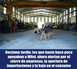 El presidente de la Confederación Argentina de la Mediana Empresa (CAME), Ricardo Diab, alertó por el cierre de empresas en Argentina, y entre las principales causas detalla la baja en el consumo y la apertura de importaciones que impulsa el gobierno de Javier 