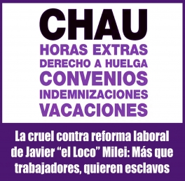 El gobierno anarco capitalista de Javier 