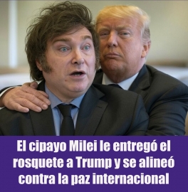Davos confirmó que la ayuda de Donald Trump a Javier Milei antes de las elecciones, funcionó dentro del país, pero enterró la ilusión del libertario de ocupar un espacio respetable en el mundo. 