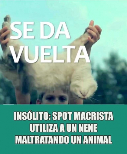 Furia contra Cambiemos por el cruel maltrato a un gato en un spot a favor de Macri