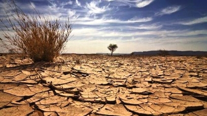 El plan es pasar el verano