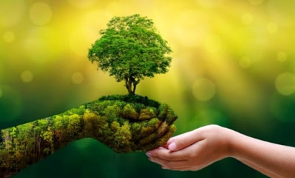 Día Mundial del Medio Ambiente 2020, por una recuperación verde y sostenible