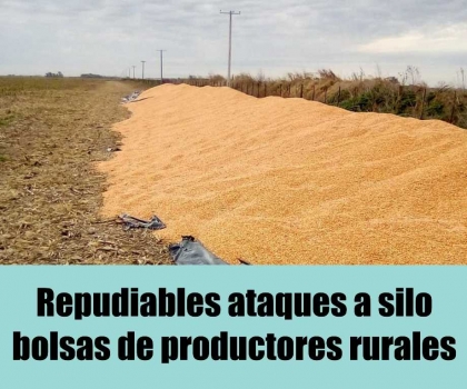 Repudiables ataques a silobolsas de productores rurales