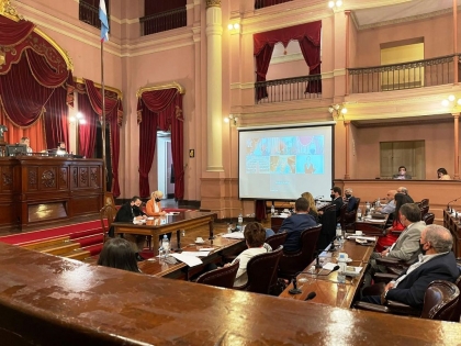 El Senado aprobó el Régimen de Protección, Asistencia y Prevención de la Violencia por Razones de Género