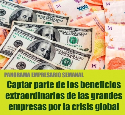 Captar parte de los beneficios extraordinarios de las grandes empresas por la crisis global