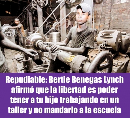 Repudiable: Benegas Lynch afirmó que la libertad es poder tener a tu hijo trabajando y no mandarlo a la escuela