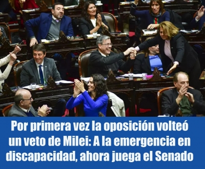 Por primera vez la oposición volteó un veto de Milei: A la emergencia en discapacidad, ahora juega el Senado