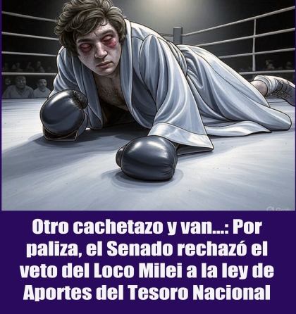 Otro cachetazo y van...: Por paliza, el Senado rechazó el veto del Loco Milei a la ley de Aportes del Tesoro Nacional