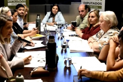 La Comisión de Juicio Político rechazó las denuncias persecutorias contra la jueza Susana Medina y cerró la causa