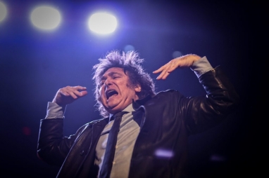 Se desploma la imagen de Javier Milei y la desaprobación trepa al 60%