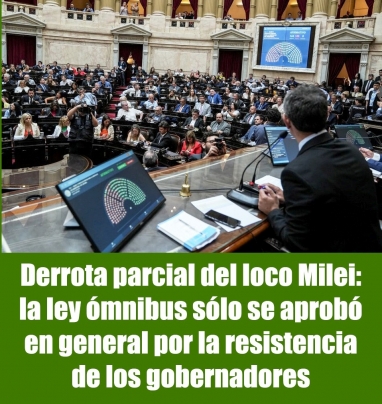 Derrota parcial del loco Milei: la ley ómnibus sólo se aprobó en general por la resistencia de los gobernadores
