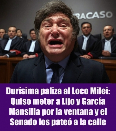 Durísima paliza al Loco Milei: Quiso meter a Lijo y García Mansilla por la ventana y el Senado los pateó a la calle Durísima paliza al Loco Milei: Quiso meter a Lijo y García Mansilla por la ventana y el Senado los pateó a la calle