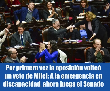 Por primera vez la oposición volteó un veto de Milei: A la emergencia en discapacidad, ahora juega el Senado