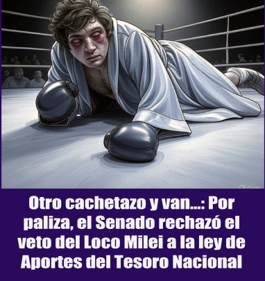 Otro cachetazo y van...: Por paliza, el Senado rechazó el veto del Loco Milei a la ley de Aportes del Tesoro Nacional