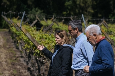 Guillermo Michel; En diciembre de 2023 pagaban la luz con 100 botellas de vino, hoy necesitan 300